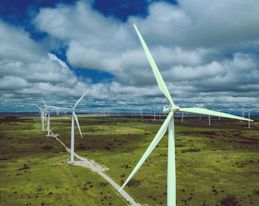 Windmills under a blue sky