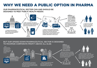 an overview of the model described in the text of the report