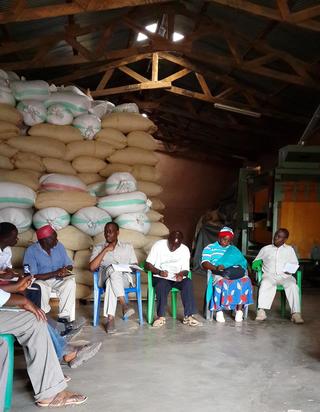 Leaders of the coffee producer and marketing cooperative RUMAKU in their executive committee meeting briefing MP Zitto Kabwe of the then Kigoma North constituency. The cooperative is one of the 13 primary cooperative societies producing more than 5000 metric tons of coffee in Kigoma region. 